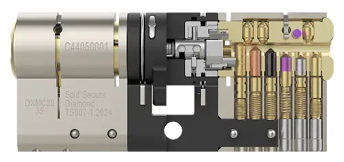 Dorix-The-Alnwick-Cut