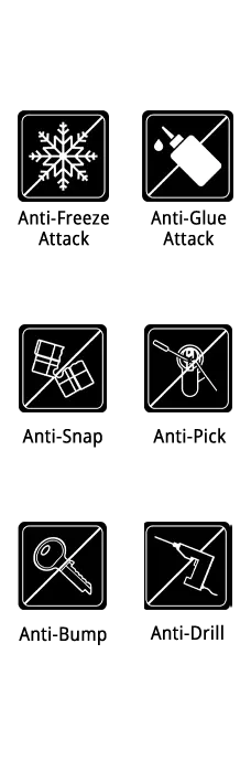 The-Alnwick-Standarts